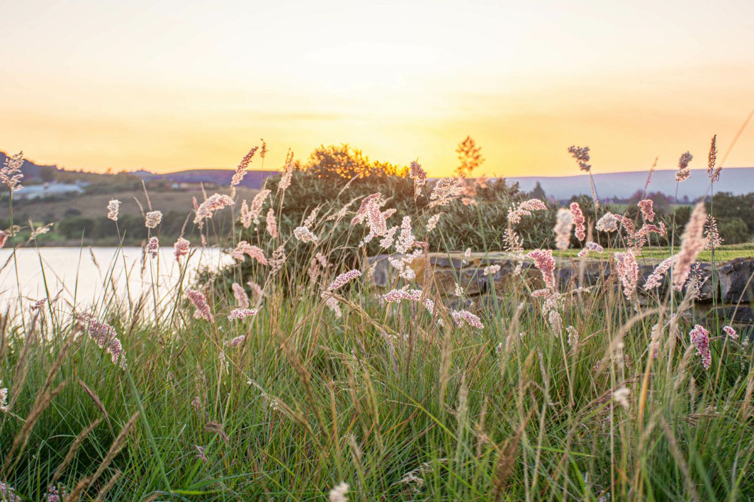 Gowrie Farm Lodge & Golf Course Details