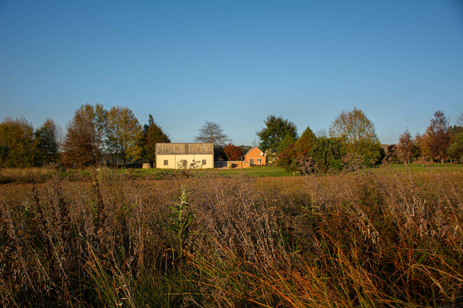 Gowrie Farm Lodge & Golf Course Details