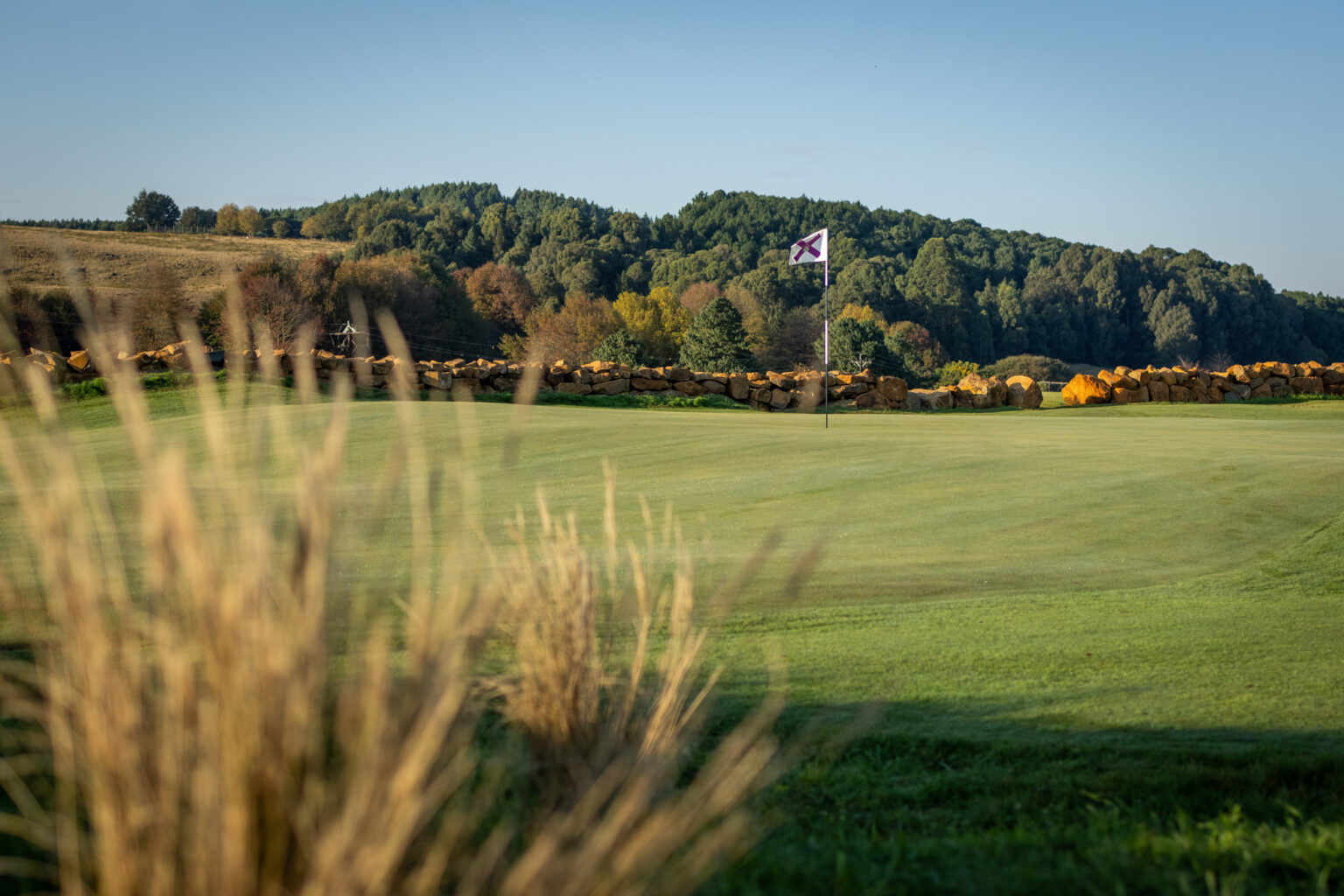 Gowrie Farm Lodge & Golf Course Golf