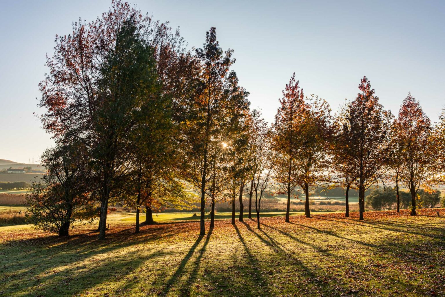 Gowrie Farm Lodge & Golf Course Golf