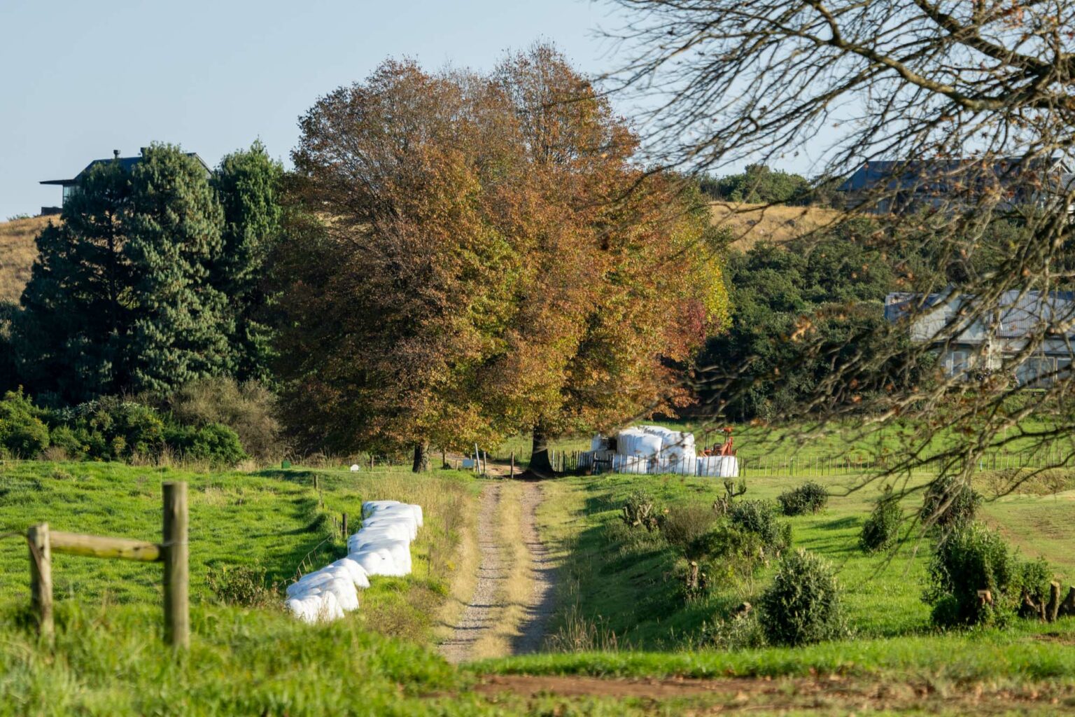 Gowrie Farm Lodge & Golf Course Golf