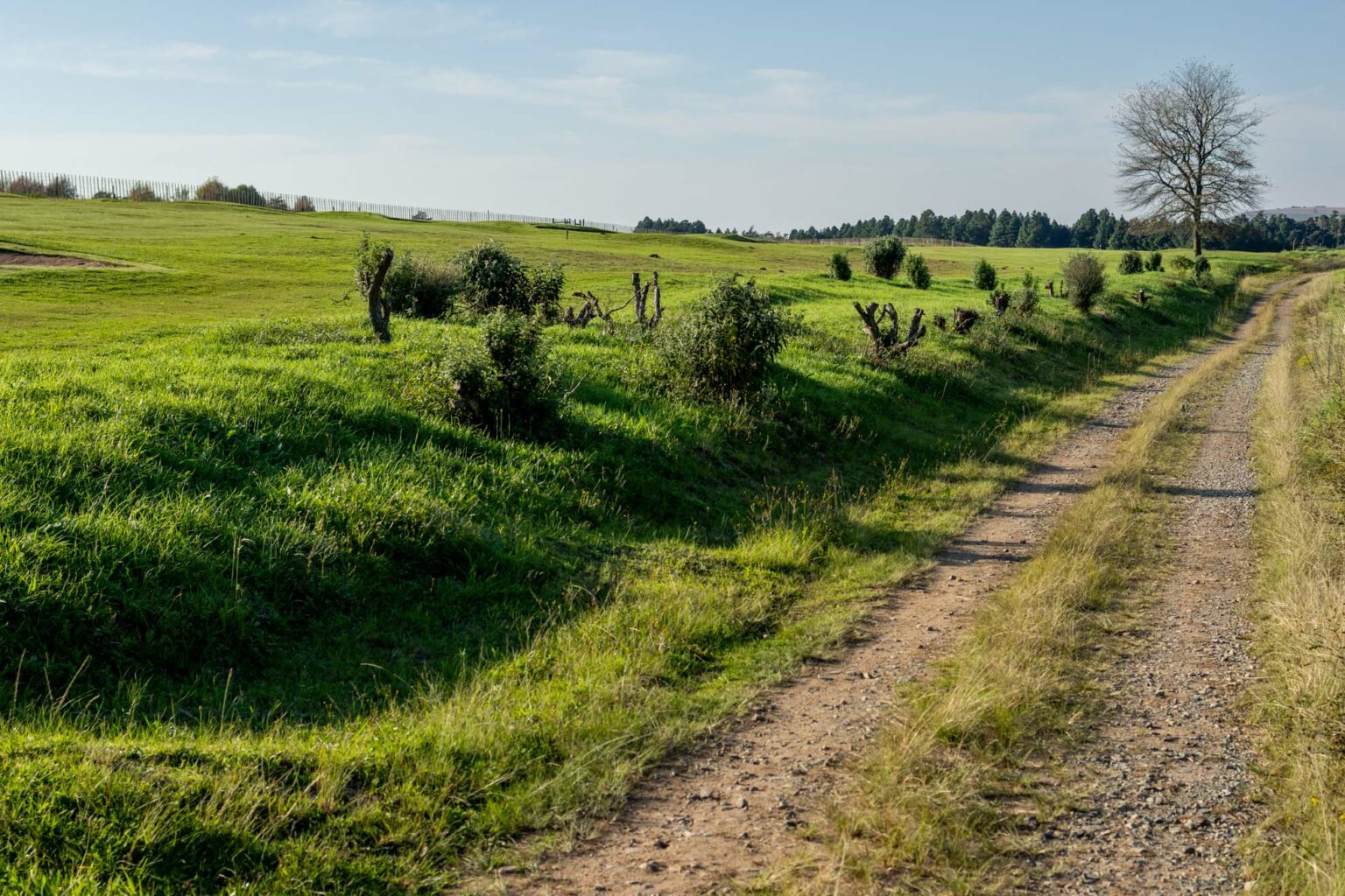 Gowrie Farm Lodge & Golf Course Golf