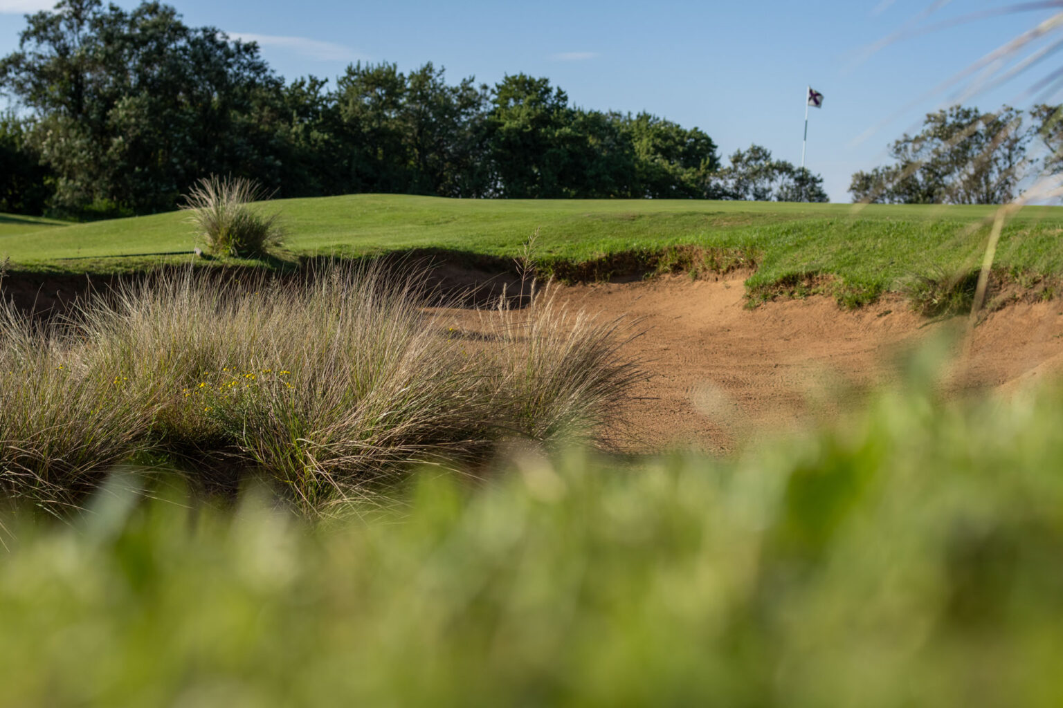 Gowrie Farm Lodge & Golf Course Golf