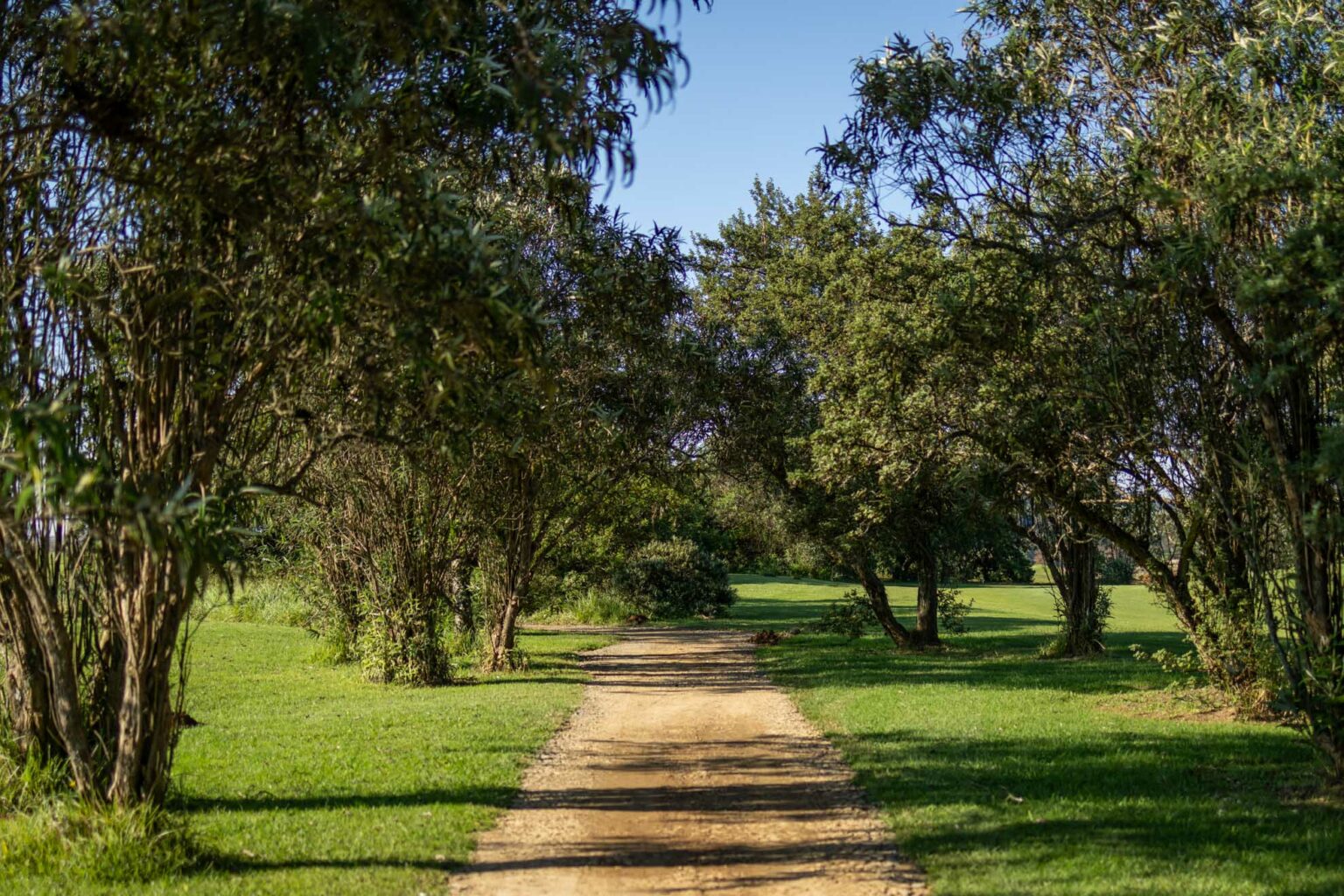 Gowrie Farm Lodge & Golf Course Golf