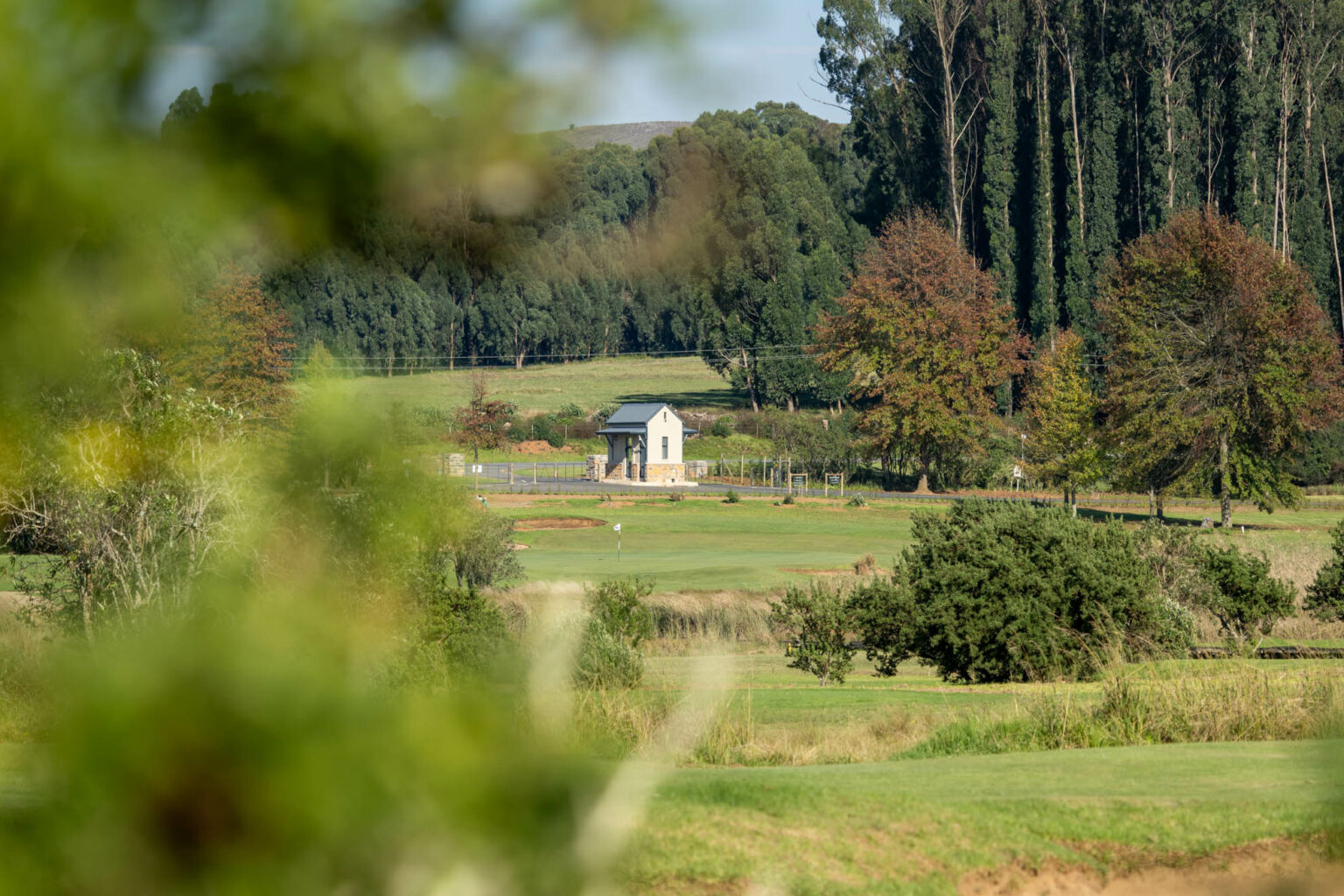 Gowrie Farm Lodge & Golf Course Golf