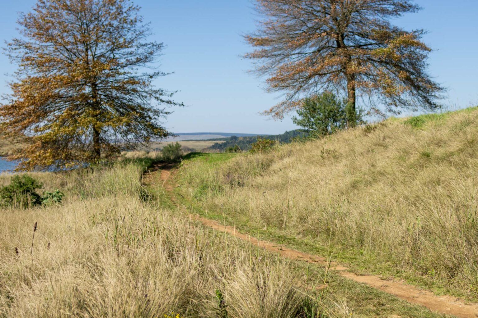 Gowrie Farm Lodge & Golf Course Golf