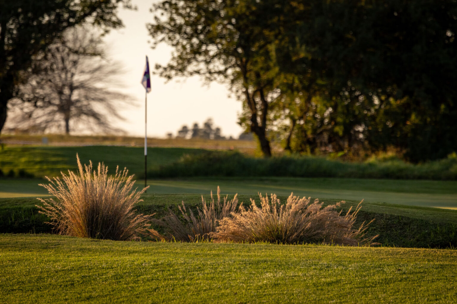 Gowrie Farm Lodge & Golf Course Golf