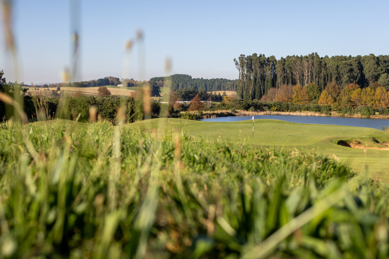Gowrie Farm Lodge & Golf Course Golf